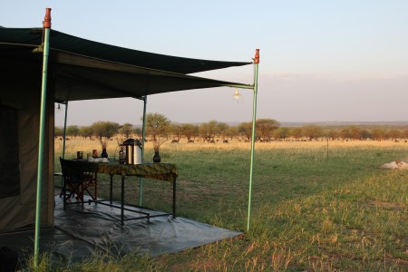 Serengeti Camp